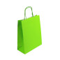 Green paper bag with twist paper handles, 250x110x320 mm