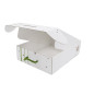 White Christmas gift box with green handle