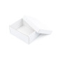 Gift Box with a Lid