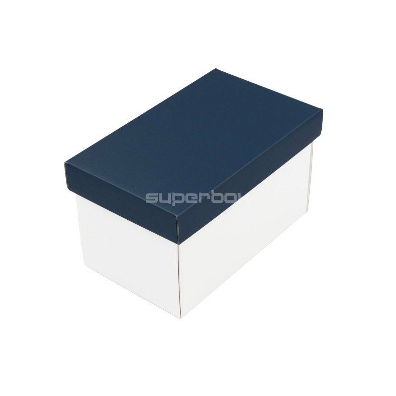 Cardboard Box with Blue Lid