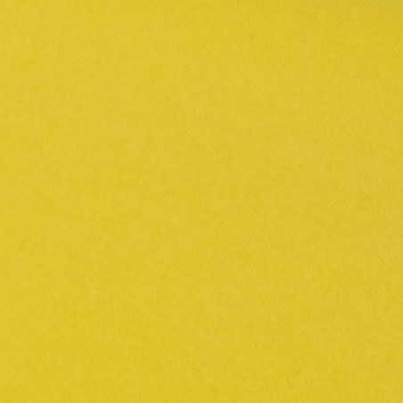 Yellow Silk Paper, No. 11