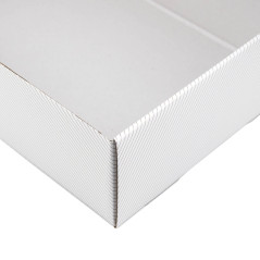 Hvid gaveæske med gyldne linjer A4 | 305x215x85 mm | Superbox